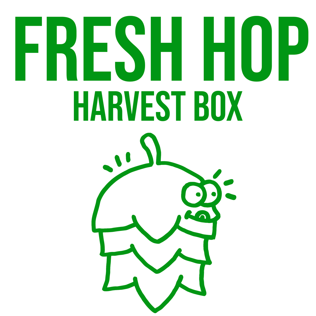 PRE ORDER Fresh Hop 2024 - 12 Pack